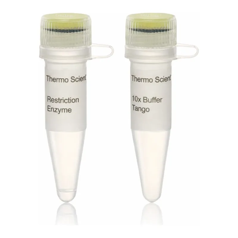 Thermo Fisher Scientific XbaI, HC (50 U/μL)