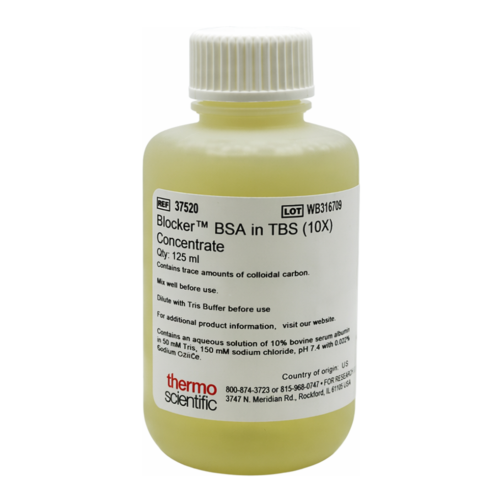 Thermo Fisher Scientific Blocker BSA (10X) in TBS, 125 mL
