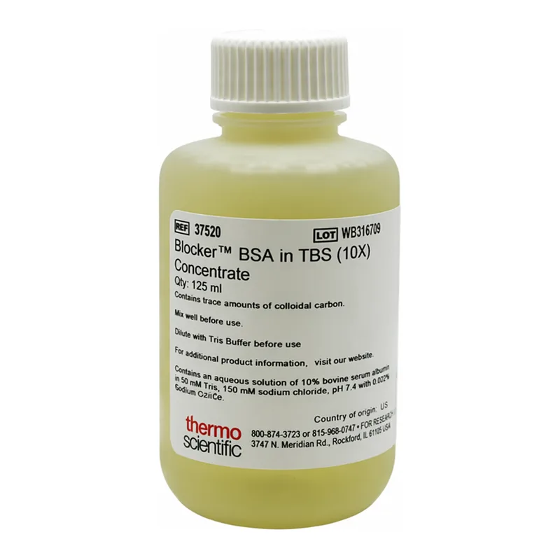 Thermo Fisher Scientific Blocker BSA (10X) in TBS, 125 mL