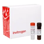 Thermo Fisher Scientific QuantiGene Plex Human Virus-Host Panel, 50-plex, 50 plex, 1 plate (96-well)