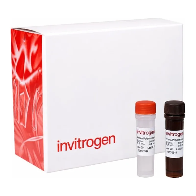 Thermo Fisher Scientific QuantiGene Plex Human Virus-Host Panel, 50-plex, 50 plex, 1 plate (96-well)