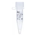 Thermo Fisher Scientific pJTI R4 EXP CMV-TO EmGFP pA Vector