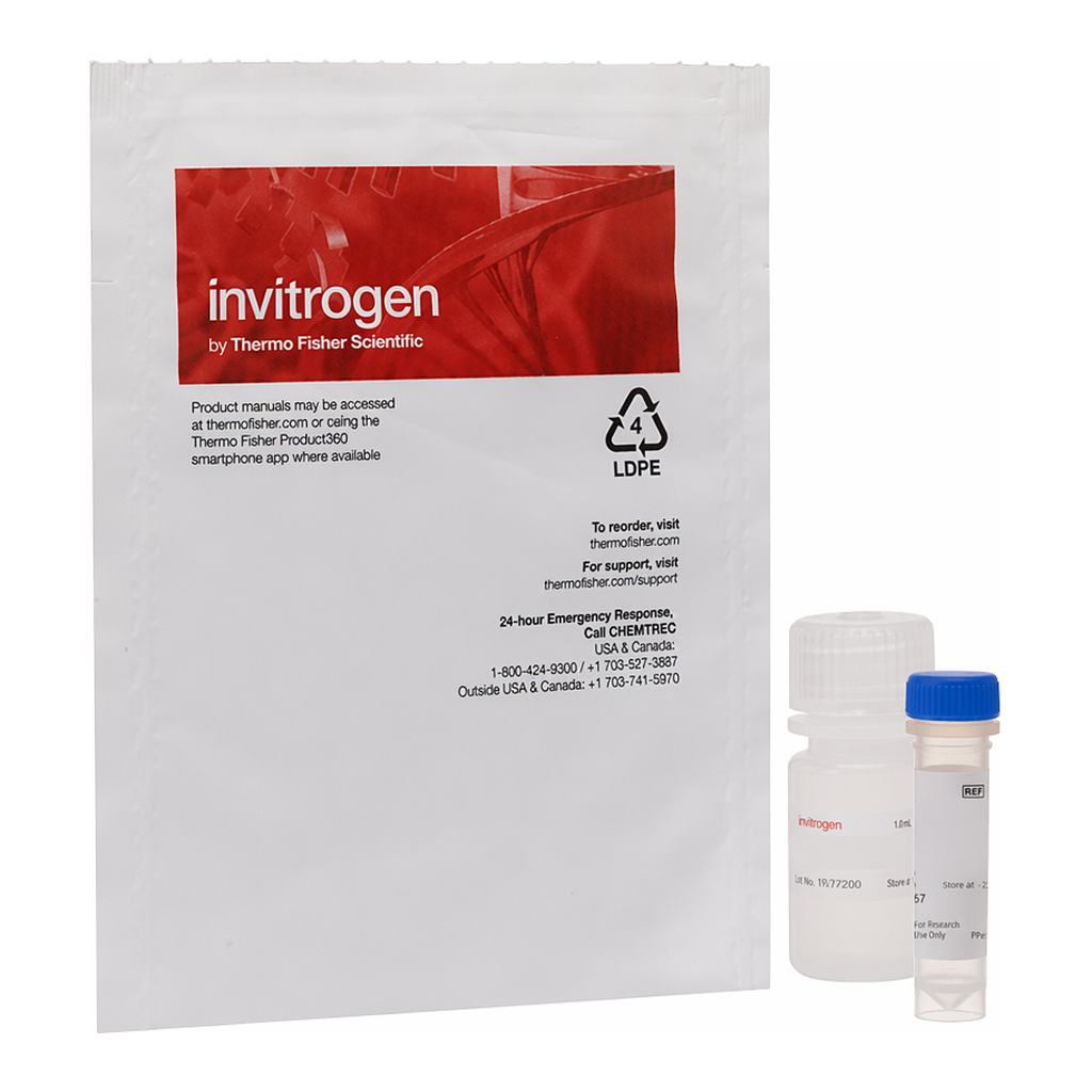 Thermo Fisher Scientific FluoReporter lacZ/Galactosidase Quantitation Kit