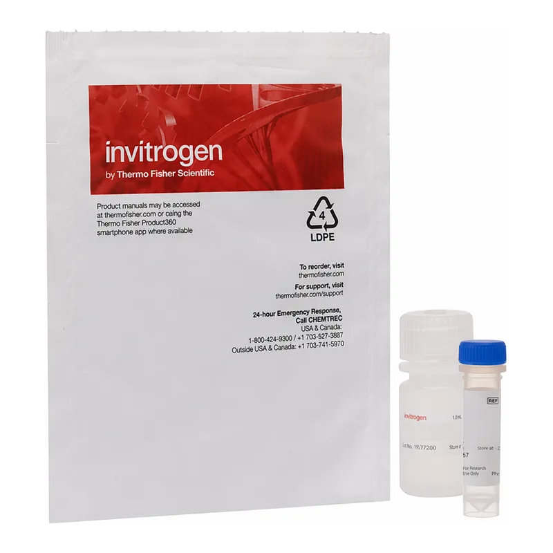 Thermo Fisher Scientific FluoReporter lacZ/Galactosidase Quantitation Kit