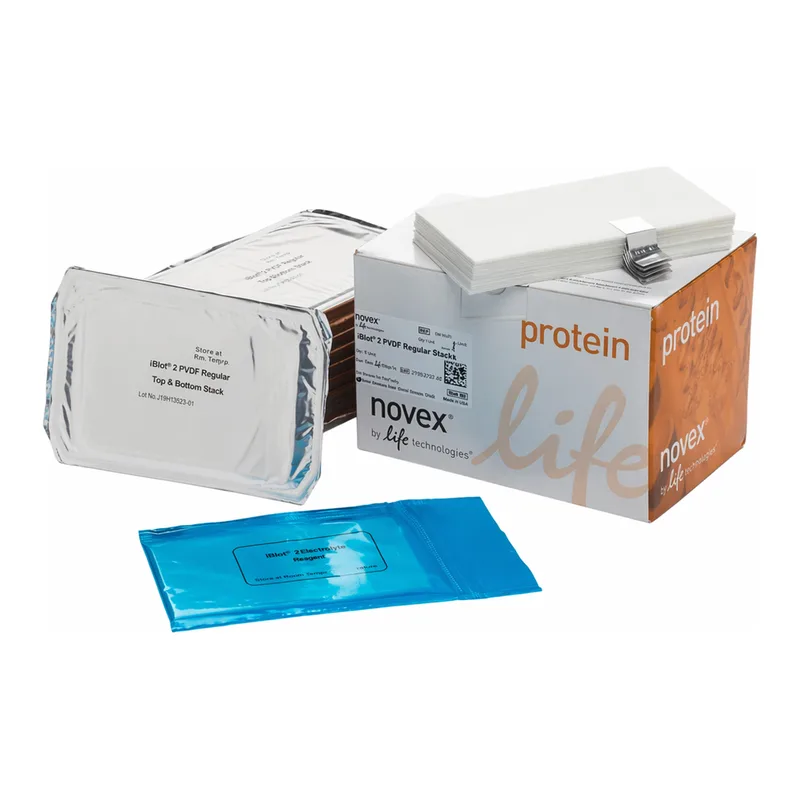 Thermo Fisher Scientific iBlot 2 Transfer Stacks, PVDF, regular size, 10 Stacks
