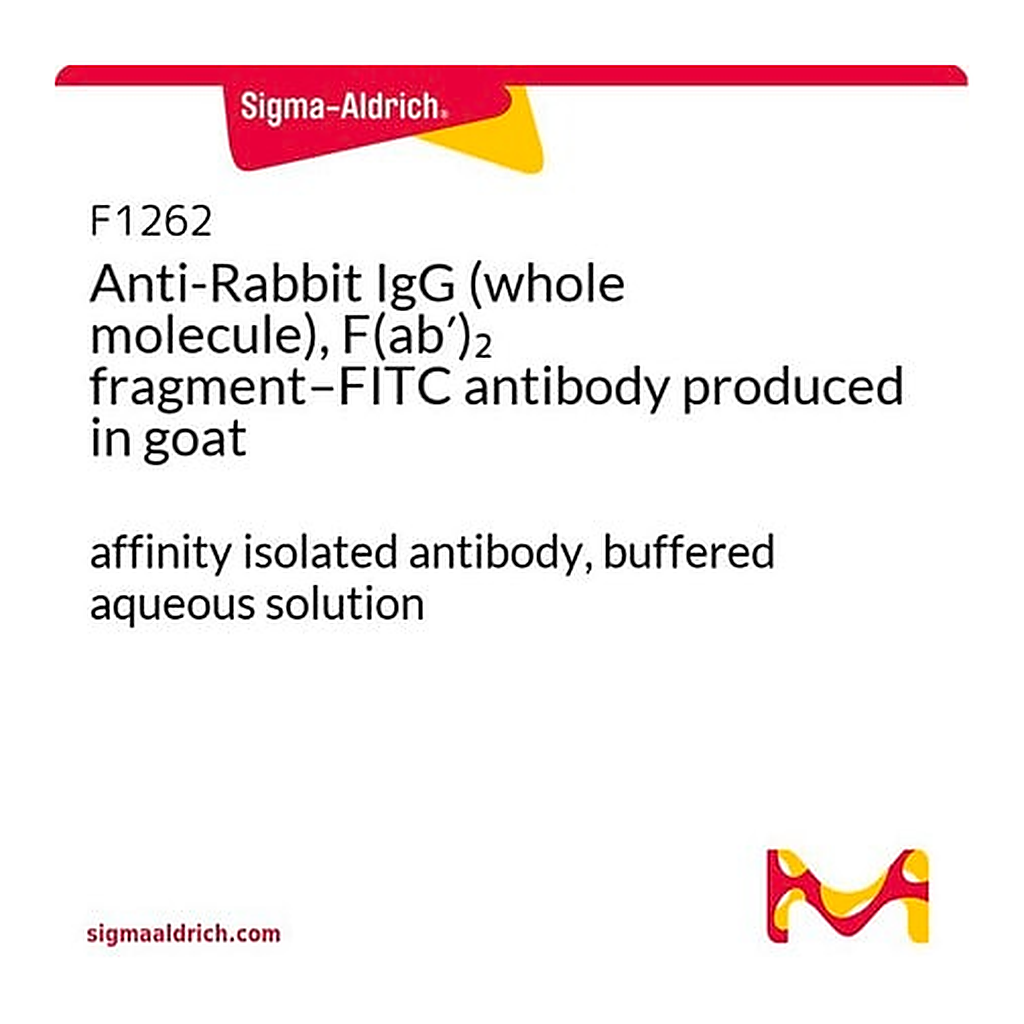 Merck Anti-Rabbit IgG (whole molecule), F(ab')2 fragment-FITC antibody produced in goat