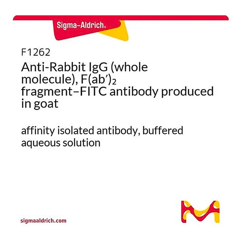Merck Anti-Rabbit IgG (whole molecule), F(ab')2 fragment-FITC antibody produced in goat