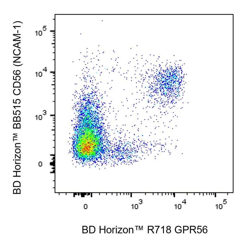 BD R718 Mouse Anti-Human GPR56