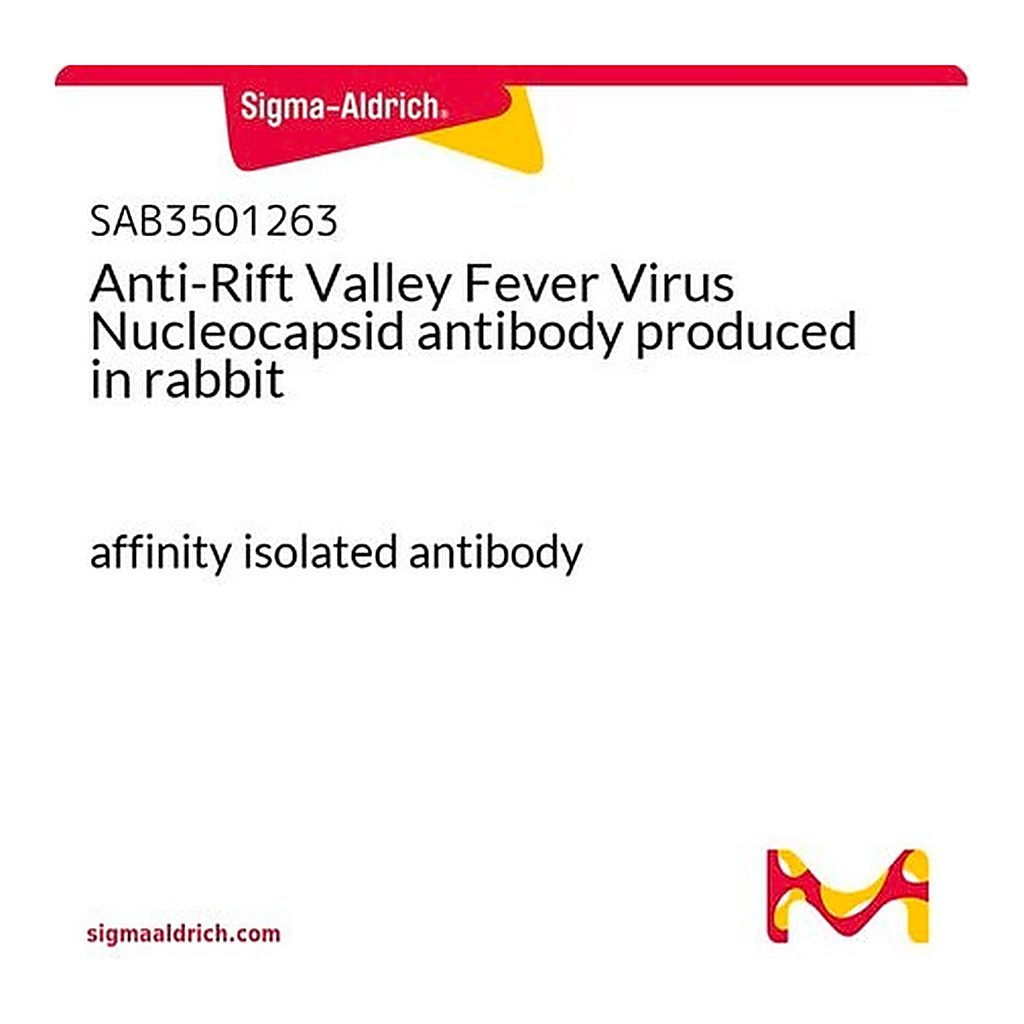 Merck Anti-Rift Valley Fever Virus Nucleocapsid antibody produced in rabbit