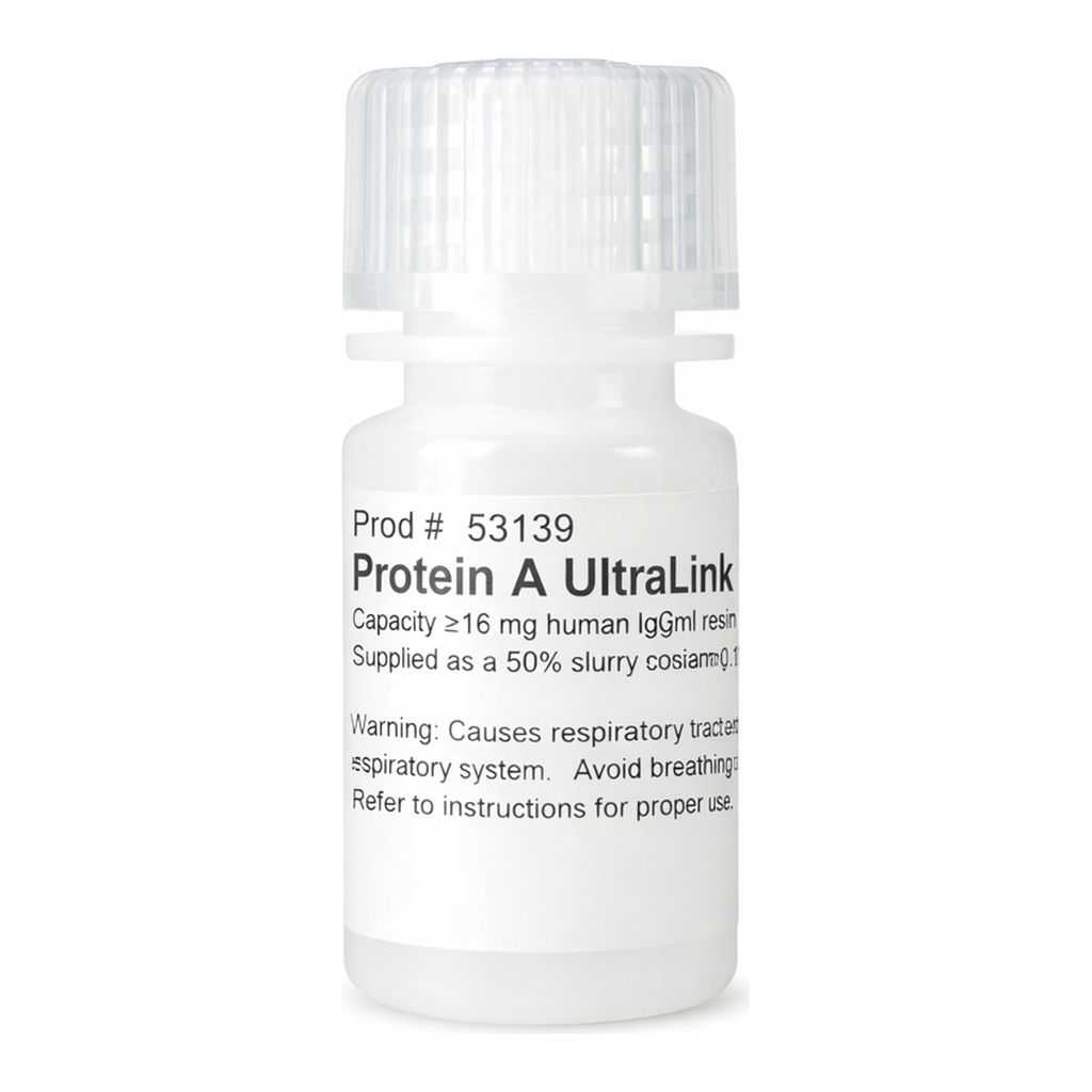Thermo Fisher Scientific Pierce Protein A UltraLink Resin