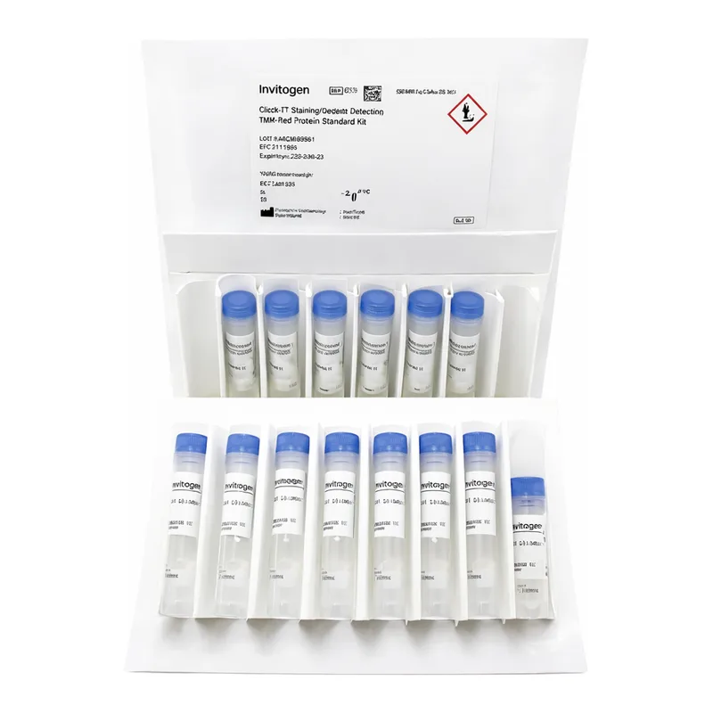 Thermo Fisher Scientific Click-IT Tetramethylrhodamine (TAMRA) Protein Analysis Detection Kit