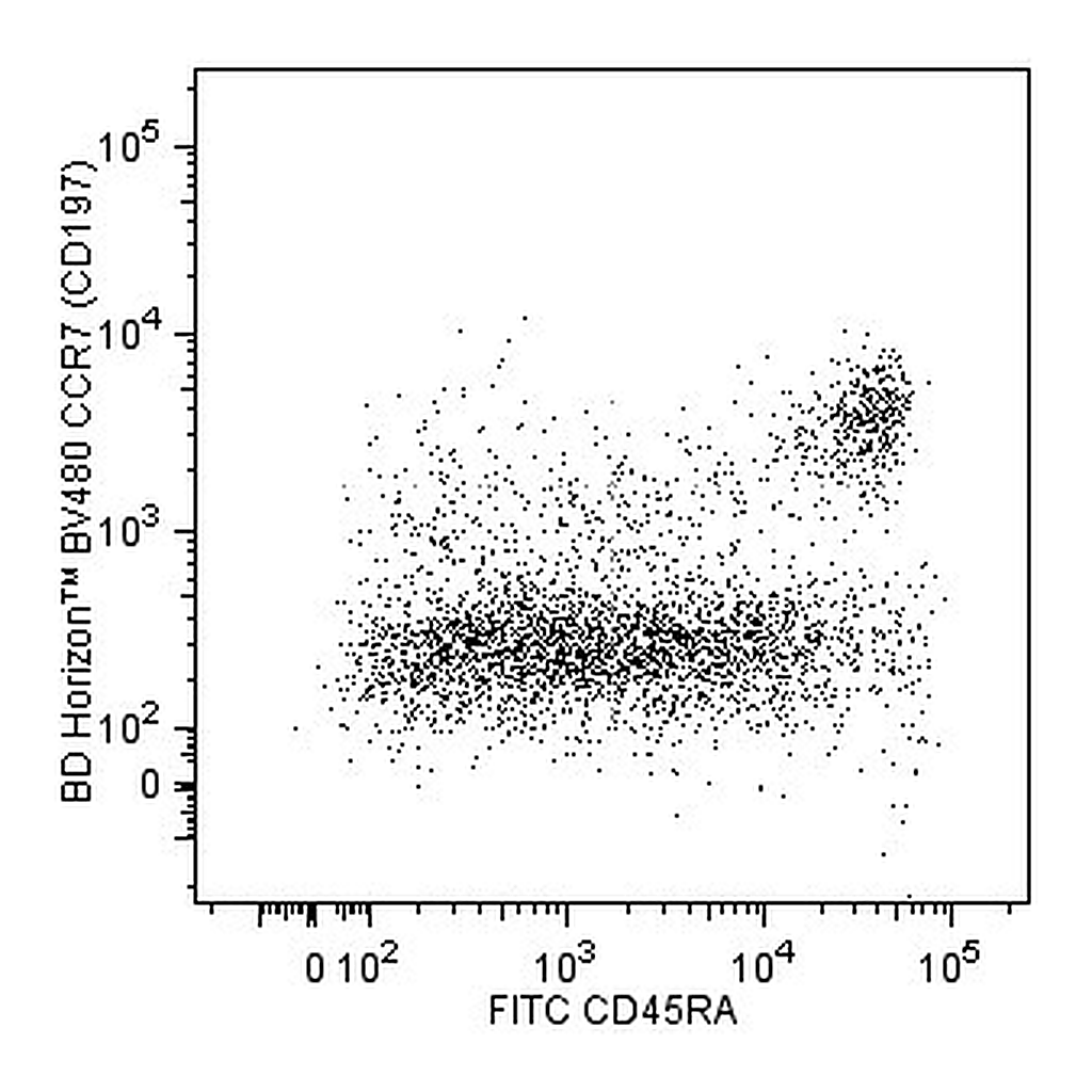 BD BV480 Rat Anti-Human CCR7 (CD197)