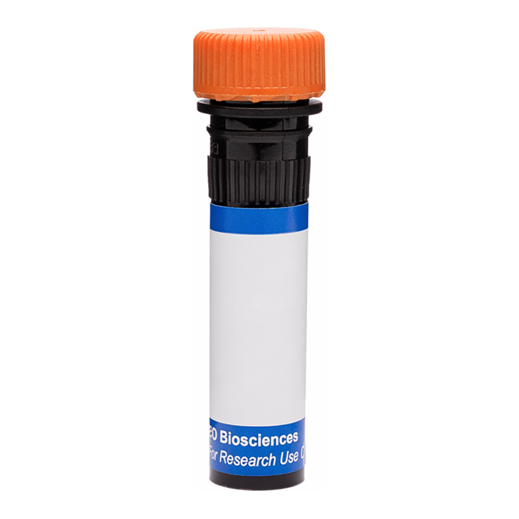 BD RB613 Mouse Anti-Human Delta-Like Protein 1 (DLL1)