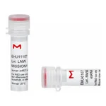 Merck MISSION(R) esiRNA