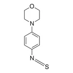 Merck 4-morpholinophenyl isothiocyanate