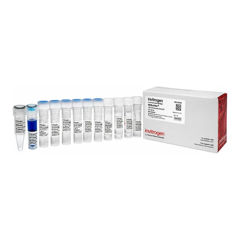 Thermo Fisher Scientific MEGAscript SP6 Transcription Kit, 40 Reactions