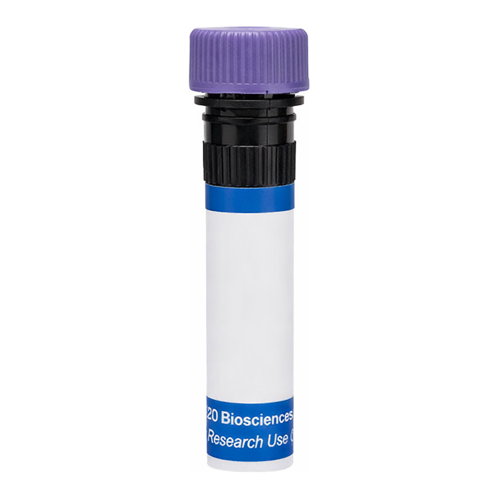 BD RB744 Mouse Anti-Human TSLP Receptor
