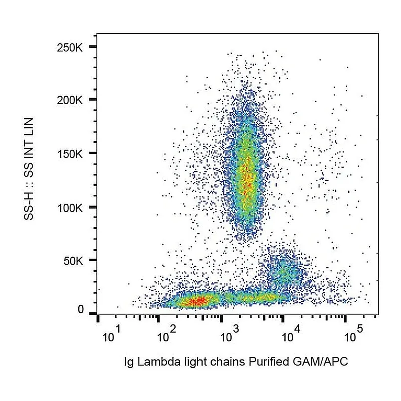 Thermo Fisher Scientific Mouse anti-Human Lambda Light Chain Secondary Antibody
