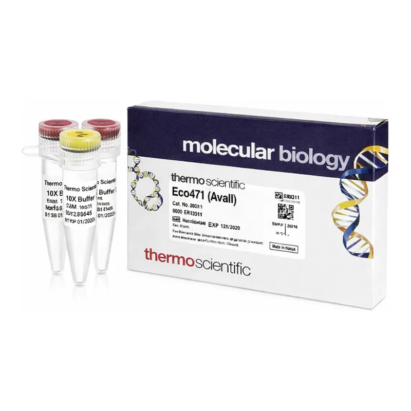 Thermo Fisher Scientific Eco47I (AvaII) (10 U/μL), 800 units