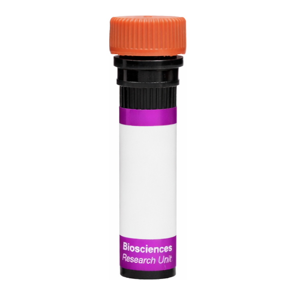 BD BV605 Mouse Anti-Mouse Vβ 5.1, 5.2 T-Cell Receptor