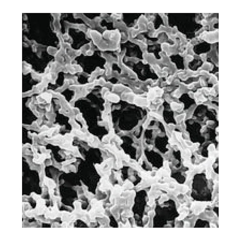 Thermo Fisher Scientific MF-Millipore Membrane Filter, 0.45 μm, Gridded