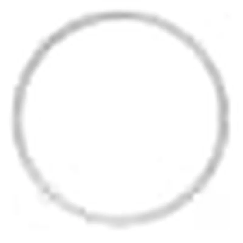 Waters O-Ring, FKM, AS035