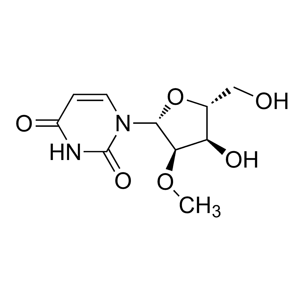 Merck 2'-o-Methyluridine