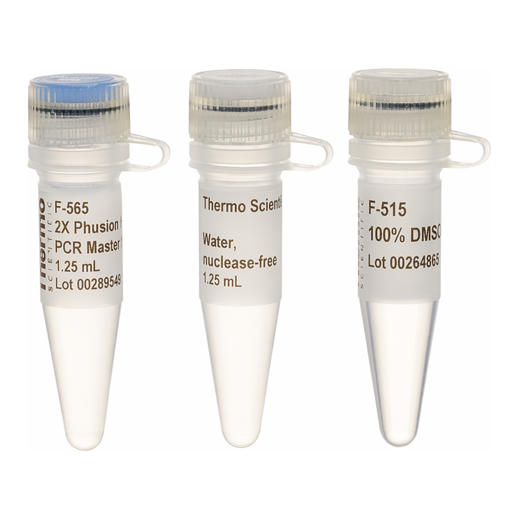 Thermo Fisher Scientific Phusion Hot Start II High-Fidelity PCR Master Mix, 500 x 50 &mu;L Reactions