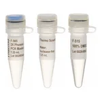 Thermo Fisher Scientific Phusion Hot Start II High-Fidelity PCR Master Mix, 500 x 50 μL Reactions