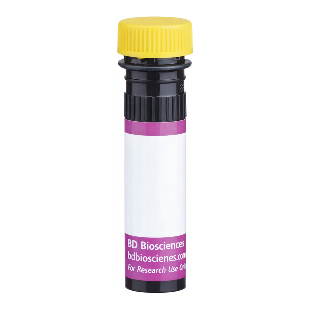 BD BV650 Biosimilar Anti-Human CD20