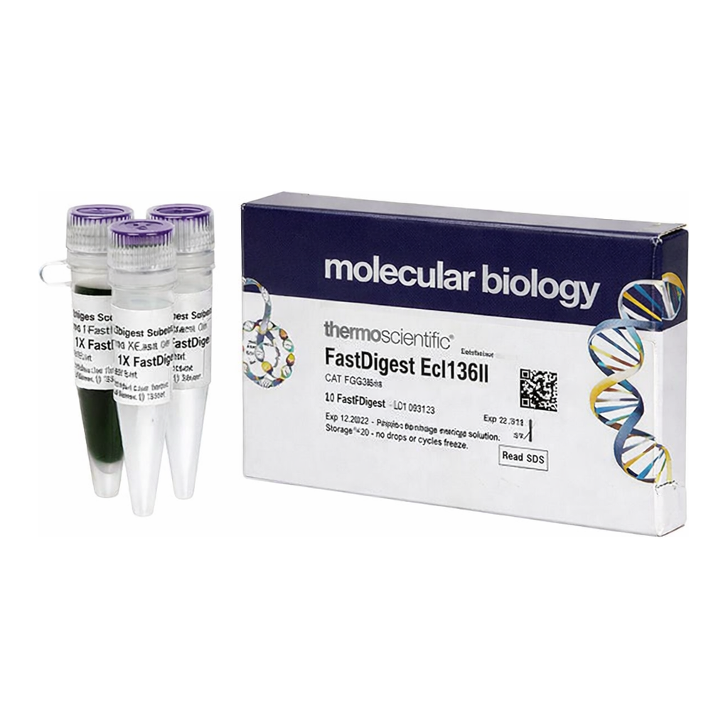 Thermo Fisher Scientific FastDigest Ecl136II