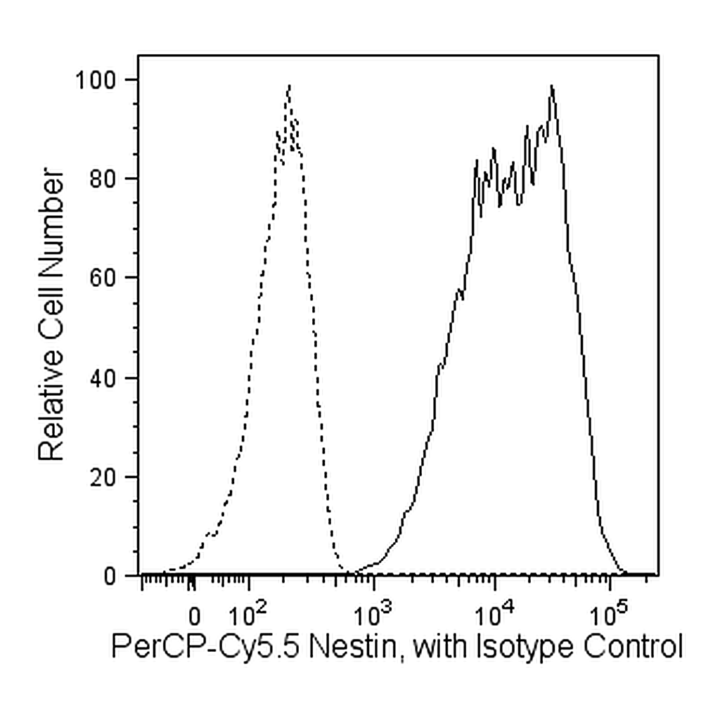 BD PerCP-Cy5.5 Mouse anti-Nestin
