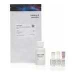Thermo Fisher Scientific Qubit ssDNA Assay Kit