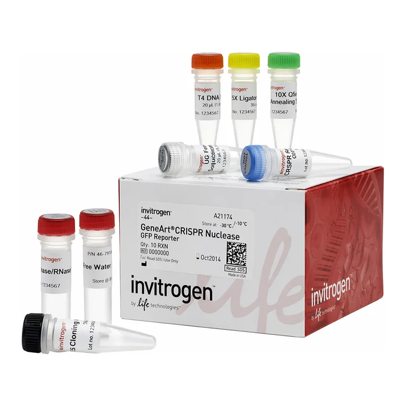 Thermo Fisher Scientific GeneArt CRISPR Nuclease Vector with OFP Reporter Kit