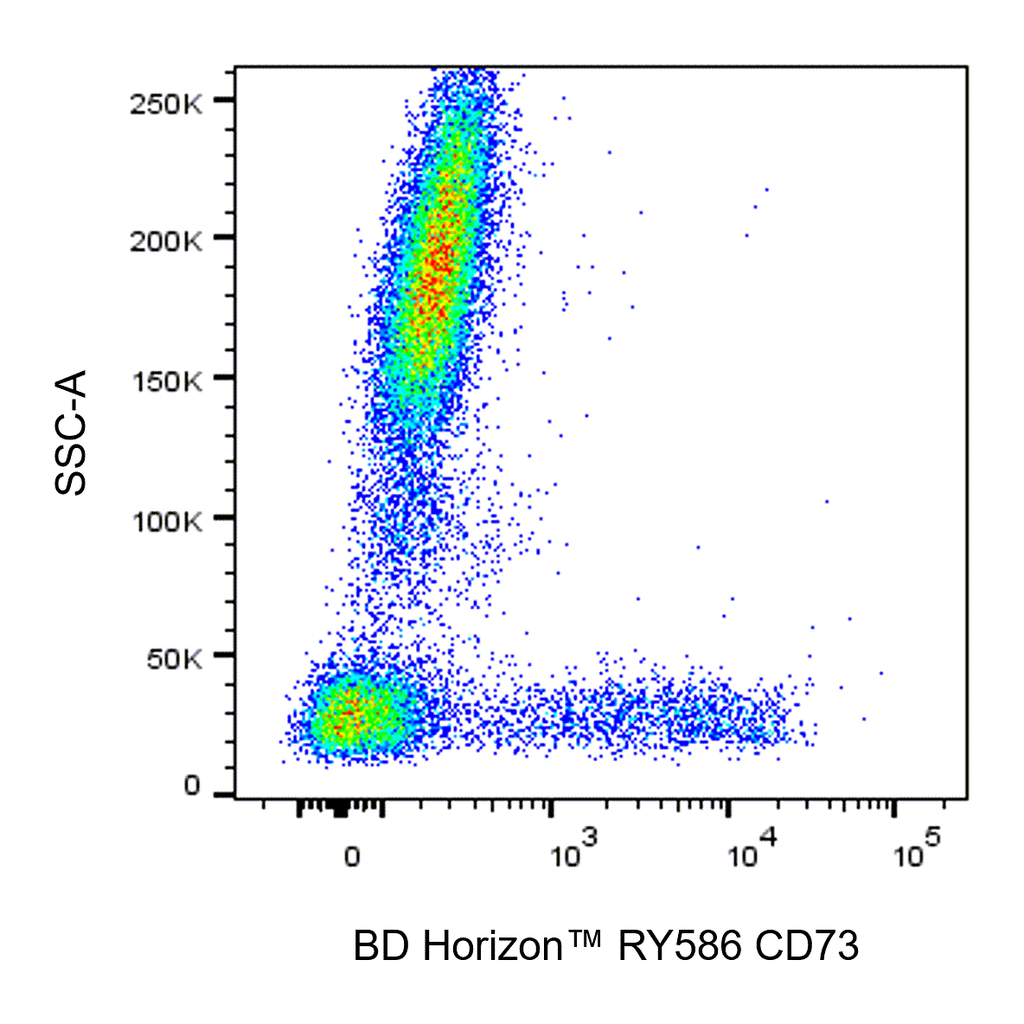 BD RY586 Mouse Anti-Human CD73
