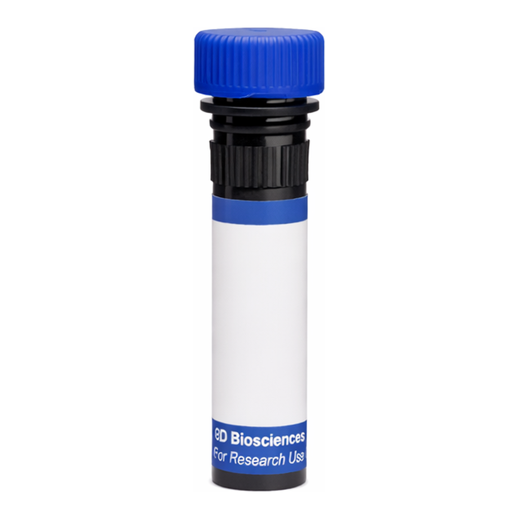 BD RB780 Mouse Anti-Human P-glycoprotein (CD243)