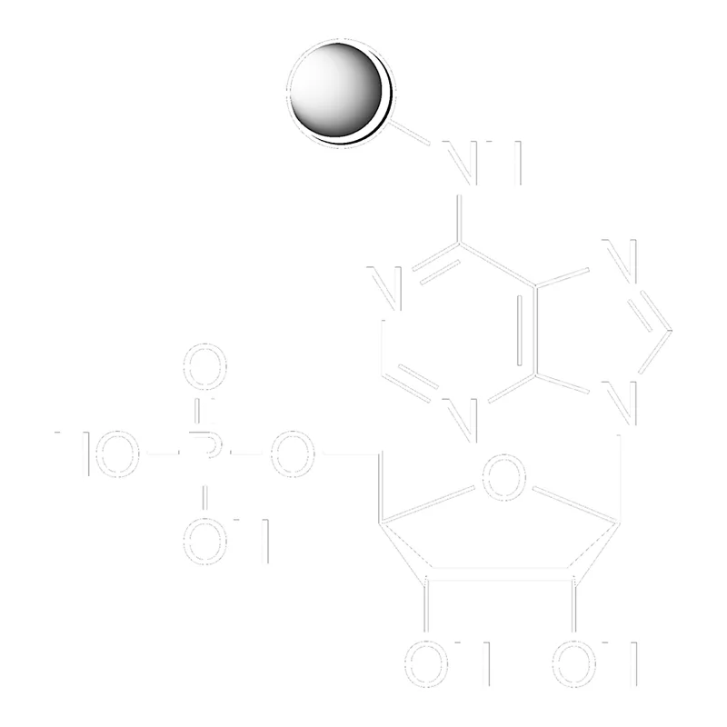 Merck Adenosine 5'-monophosphate-Agarose