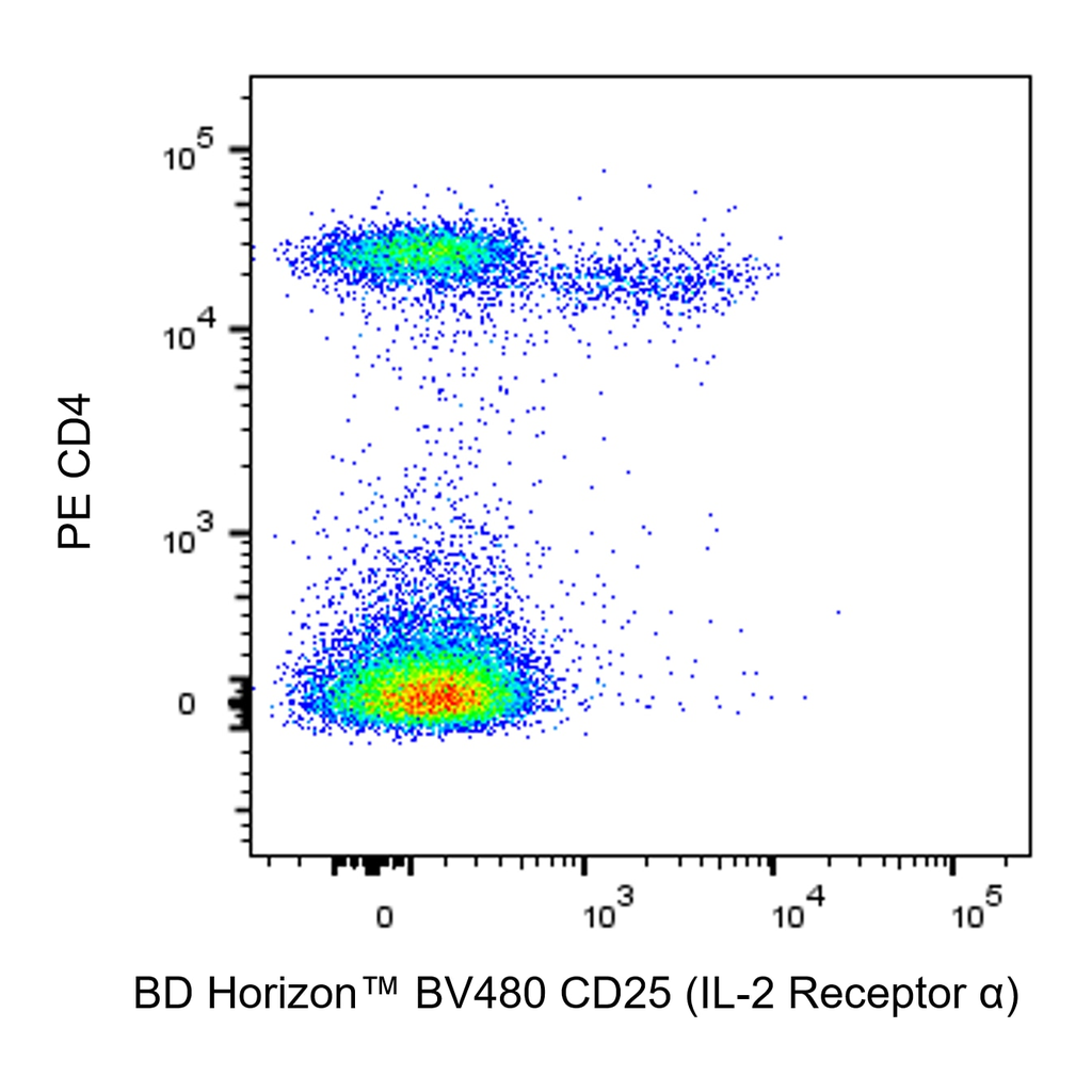 BD BV480 Rat Anti-Mouse CD25 (IL-2 Receptor α)