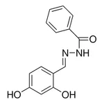 Merck BENZOIC (2,4-DIHYDROXYBENZYLIDENE-