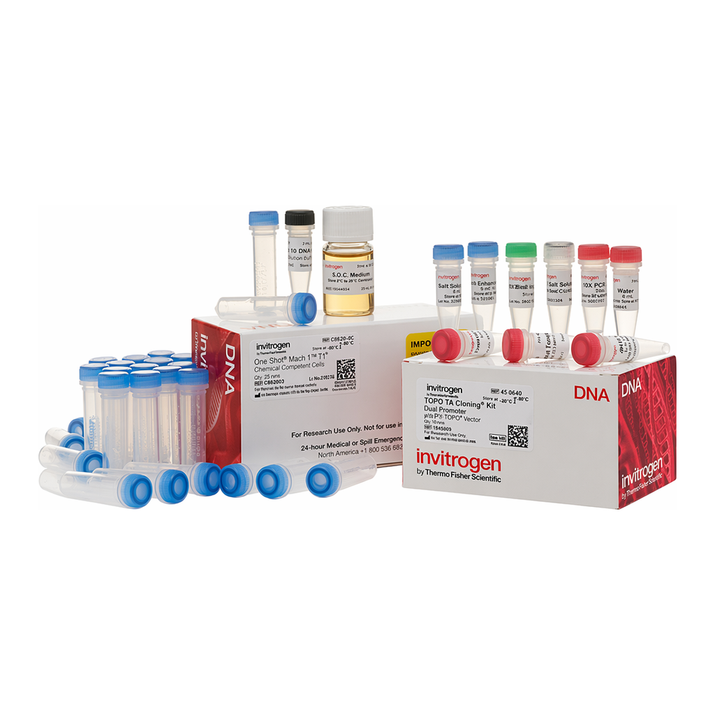 Thermo Fisher Scientific TOPO TA Cloning Kit, Dual Promoter, with pCRII-TOPO Vector and One Shot Mach1 T1 Phage-Resistant Chemically Competent E. coli