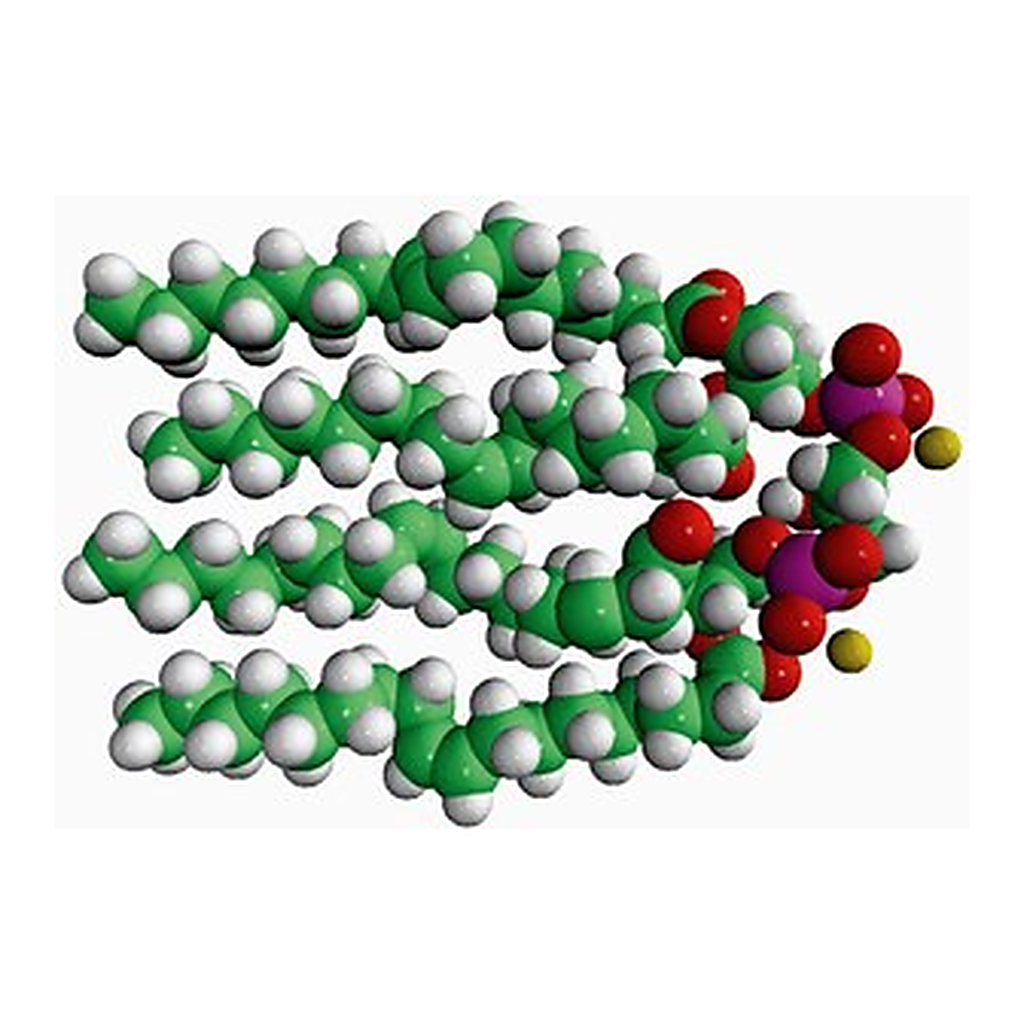 Merck 18:1 CARDIOLIPIN