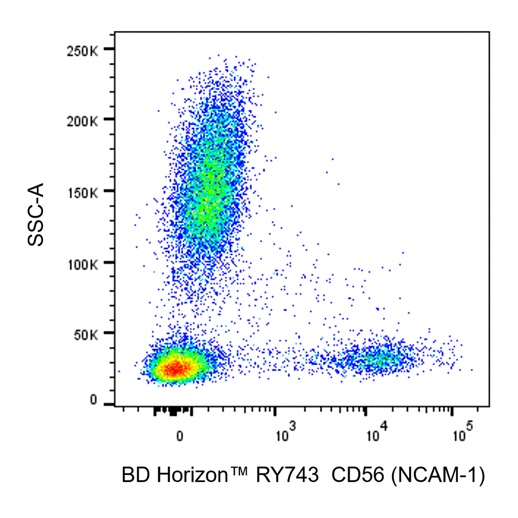 BD RY743 Mouse Anti-Human CD56 (NCAM-1)