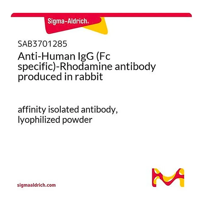 Merck Anti-Human IgG (Fc specific)-Rhodamine antibody produced in rabbit