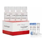 Thermo Fisher Scientific Calcium Phosphate Transfection Kit