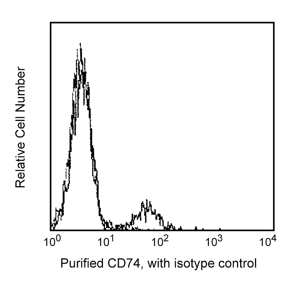 BD Purified Mouse Anti-Human CD74