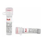 Merck MISSION(R) esiRNA