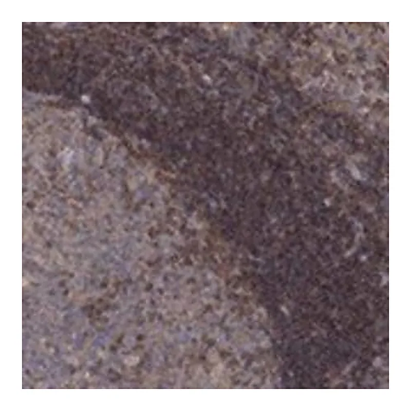 Merck Anti-BLOC1S3 antibody produced in rabbit