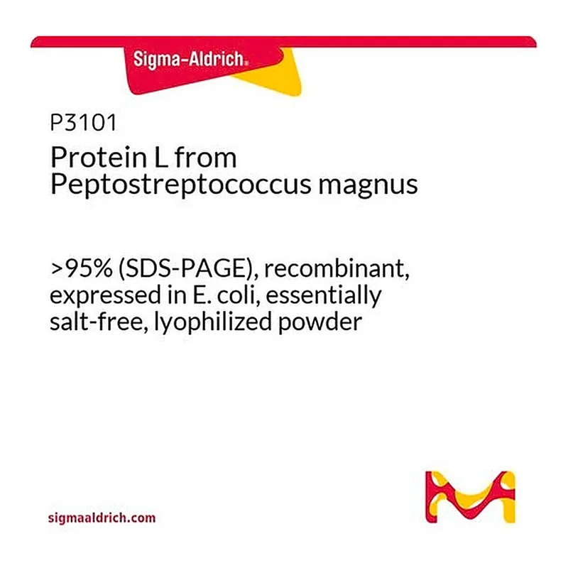 Merck Protein L from Peptostreptococcus magnus