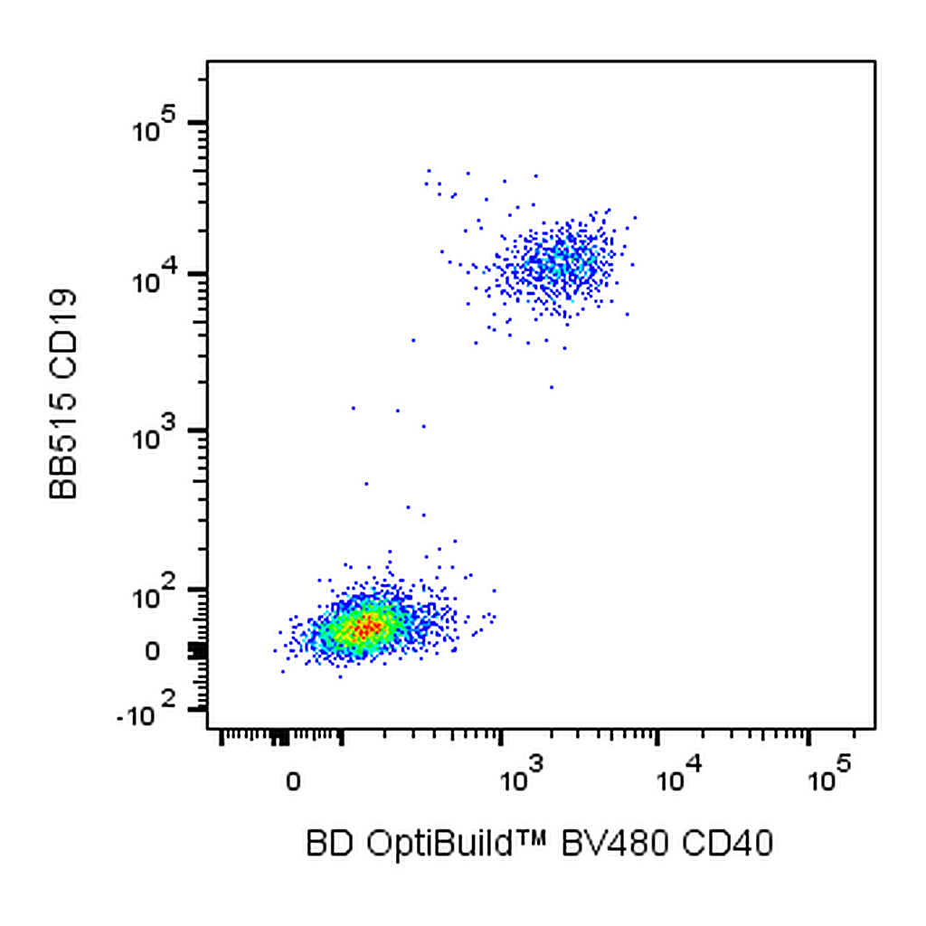 BD BV480 Mouse Anti-Human CD40