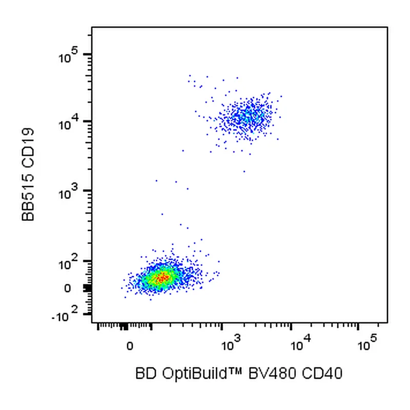 BD BV480 Mouse Anti-Human CD40
